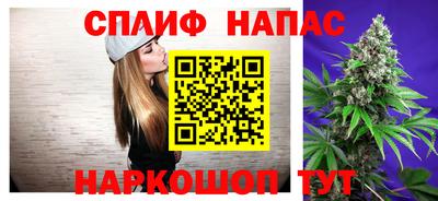 прущие крисы Новозыбков