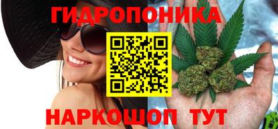 тгк Новокубанск