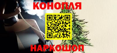 тгк Новокубанск